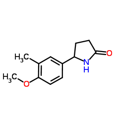 5-(4-Methoxy-3-methylphenyl)-2-pyrrolidinone结构式