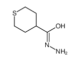 thiane-4-carbohydrazide结构式