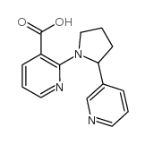 2-(2-pyridin-3-ylpyrrolidin-1-yl)pyridine-3-carboxylic acid picture