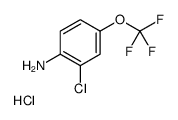 2-氯-4-(三氟甲氧基)苯胺盐酸盐结构式