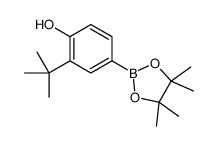 2-(tert-butyl)-4-(4,4,5,5-tetramethyl-1,3,2-dioxaborolan-2-yl)phenol structure