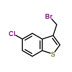 3-溴甲基-5-氯苯并噻吩图片