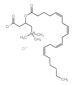 Arachidoyl-DL-carnitine chloride结构式