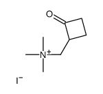 trimethyl-[(2-oxocyclobutyl)methyl]azanium,iodide Structure