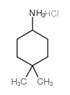 4,4-Dimethyl-cyclohexylamine hydrochloride picture
