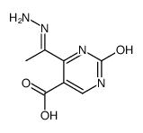 6-ethanehydrazonoyl-2-oxo-1H-pyrimidine-5-carboxylic acid结构式