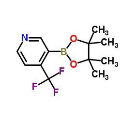 4-Trifluoromethyl-pyridine-3-boronic acid structure