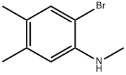 (2-Bromo-4,5-dimethyl-phenyl)-methyl-amine结构式