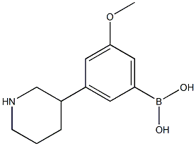 3-(Piperidin-3-yl)-5-methoxyphenylboronic acid图片