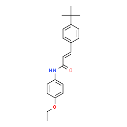 3-[4-(TERT-BUTYL)PHENYL]-N-(4-ETHOXYPHENYL)ACRYLAMIDE Structure