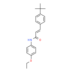 3-[4-(TERT-BUTYL)PHENYL]-N-(4-ETHOXYPHENYL)ACRYLAMIDE structure