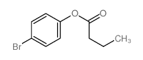 Butanoic acid,4-bromophenyl ester picture