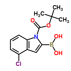 1-BOC-4-氯吲哚-2-硼酸图片