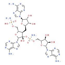 adenylyl (2'-5')-adenylyl-(2'-5')adenosine bis-phosphoramidate结构式