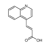 (E)-3-(quinolin-4-yl)acrylic acid Structure