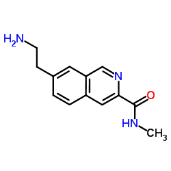 7-(2-Aminoethyl)-N-methyl-3-isoquinolinecarboxamide结构式