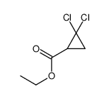 ethyl 2,2-dichlorocyclopropane-1-carboxylate结构式