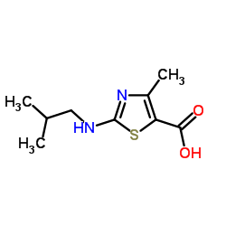 2-(Isobutylamino)-4-methyl-1,3-thiazole-5-carboxylic acid Structure