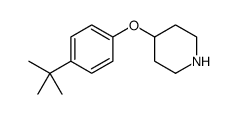 Piperidine, 4-[4-(1,1-dimethylethyl)phenoxy]结构式