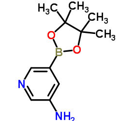 3-Aminopyridine-5-boronic Acid Pinacol Ester Structure