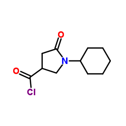 1-Cyclohexyl-5-oxo-3-pyrrolidinecarbonyl chloride Structure