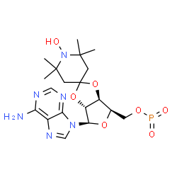 2',3'-O-(1-oxy-2,2,6,6-tetramethyl-4-piperidylidene)adenosine 5'-triphosphate Structure