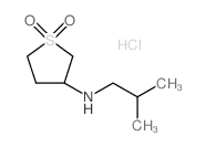 (1,1-二氧代-四氢-1lambda*6*-噻吩-3-基)-异丁基-胺盐酸盐结构式