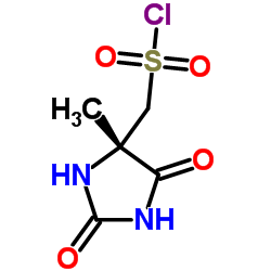 [(4S)-4-Methyl-2,5-dioxo-4-imidazolidinyl]methanesulfonyl chloride结构式