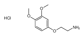 2-(3,4-dimethoxyphenoxy)ethanamine,hydrochloride Structure