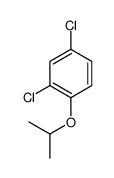 2,4-dichloro-1-isopropoxybenzene Structure