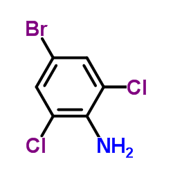 4-溴-2,6-二氯苯胺结构式
