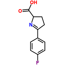 5-(4-Fluorophenyl)-3,4-dihydro-2H-pyrrole-2-carboxylic acid Structure