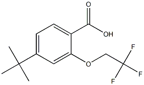 4-tert-Butyl-2-(2,2,2-trifluoro-ethoxy)-benzoic acid结构式
