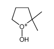 1-hydroxy-2,2-dimethyloxolan-1-ium Structure