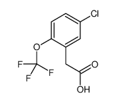 [5-Chloro-2-(trifluoromethoxy)phenyl]acetic acid Structure