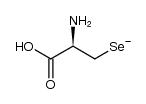 (R)-2-amino-2-carboxyethaneselenolate结构式