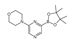 4-[6-(4,4,5,5-tetramethyl-1,3,2-dioxaborolan-2-yl)pyrazin-2-yl]morpholine Structure