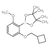 2-Cyclobutylmethoxy-6-methoxyphenylboronic acid pinacol ester Structure