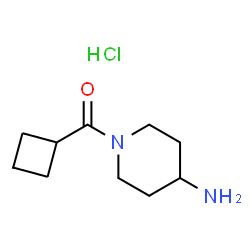 (4-Aminopiperidin-1-yl)(cyclobutyl)methanone hydrochloride图片