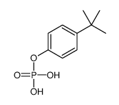 p-tert-butylphenyl dihydrogen phosphate结构式