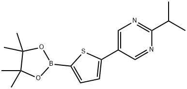 5-(2-isopropyl-5-pyrimidyl)thiophene-2-boronic acid pinacol ester Structure