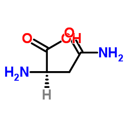 D-(-)-Asparagine monohydrate structure