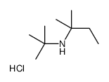 2-methylbutan-2-yl-tert-butyl-azanium chloride结构式