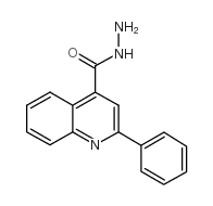 2-苯基喹啉-4-羧酸肼结构式
