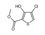 methyl 4-chloro-3-hydroxythiophene-2-carboxylate picture