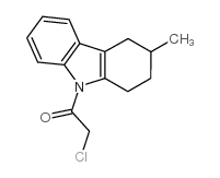 2-chloro-1-(3-methyl-1,2,3,4-tetrahydro-carbazol-9-yl)-ethanone结构式