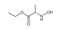 L-Alanine, N-hydroxy-, ethyl ester (9CI) picture
