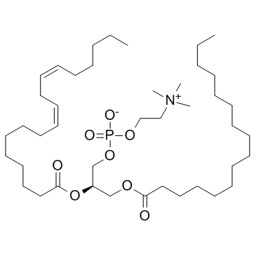 Soybean phospholipid structure