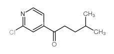 1-(2-CHLORO-PYRIDIN-4-YL)-4-METHYL-PENTAN-1-ONE structure