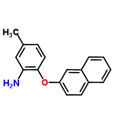 5-Methyl-2-(2-naphthyloxy)aniline Structure